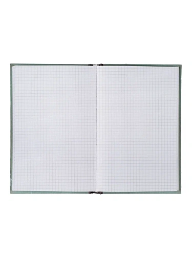 Ежедневник в клетку "Мои наполеоновские планы"