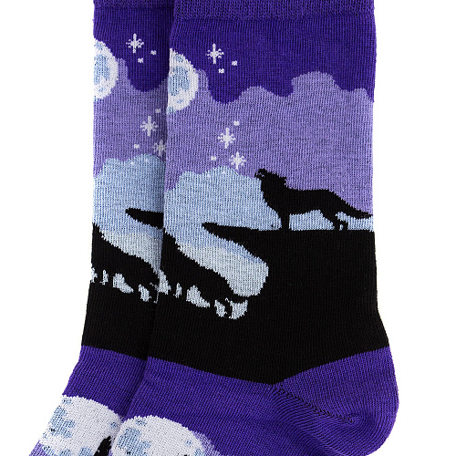 Носки "Ночные волки", разм.40-45