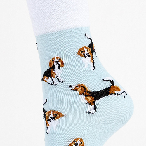 Носки "Бигли", разм.35-39